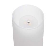 Paulmann Leuchten LED Leuchtmittel, 4.7 W, Satin