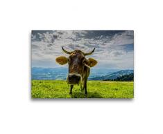 Premium Textil-Leinwand 45 x 30 cm Quer-Format Jungvieh | Wandbild, HD-Bild auf Keilrahmen, Fertigbild auf hochwertigem Vlies, Leinwanddruck von Walter G. AllgÃ¶wer