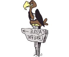 INDIGOS 4051719869101 Wandtattoo ME257 schÃ¶ner Vogel Wegweiser 120 x 57 cm