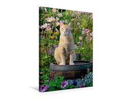 Premium Textil-Leinwand 50 x 75 cm Hoch-Format Rote Katze auf Holzfass im blühenden Garten | Wandbild, HD-Bild auf Keilrahmen, Fertigbild auf hochwertigem Vlies, Leinwanddruck von Katho Menden
