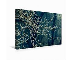 Premium Textil-Leinwand 45 x 30 cm Quer-Format Zweige im Winter - Retro | Wandbild, HD-Bild auf Keilrahmen, Fertigbild auf hochwertigem Vlies, Leinwanddruck von Martina Cross