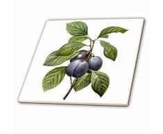 3dRose CT 106855 _ 4 Redoute Vintage Watercolor Fruit Garden Pflaumen Prunus domestica-Ceramic Fliesen, 12 Zoll