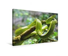 Premium Textil-Leinwand 75 x 50 cm Quer-Format Schlangen verursachen große Abneigung bei vielen Menschen | Wandbild, HD-Bild auf Keilrahmen, Fertigbild auf hochwertigem Vlies, Leinwanddruck von Rose Hurley