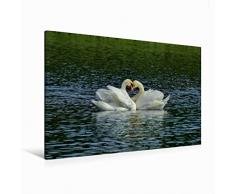 Premium Textil-Leinwand 120 x 80 cm Quer-Format Romantik Pur! | Wandbild, HD-Bild auf Keilrahmen, Fertigbild auf hochwertigem Vlies, Leinwanddruck von René Schaack