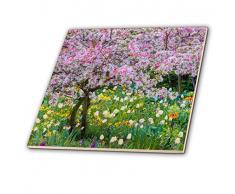 3dRose Frankreich, Giverny. Springtime in Claude Monets Garten. – Keramik Fliesen, 6 (CT 210032 _ 2)