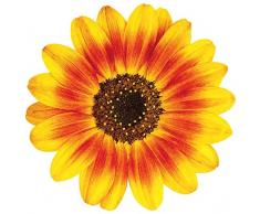 Paper House Productions Deko-Magnet in Sonnenblumenform, 7,6 cm, gestanzt, für Kühlschränke und Spinde