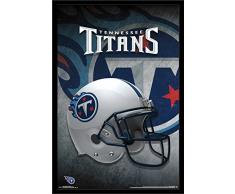 Unbekannt Trends International Wand Poster Pokémon Mega Evolutions Gerahmte Version 22.375 x 34