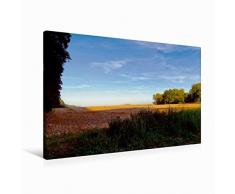 Premium Textil-Leinwand 90 cm x 60 cm quer Wald und Feld | Wandbild, Bild auf Keilrahmen, Fertigbild auf echter Leinwand, Leinwanddruck