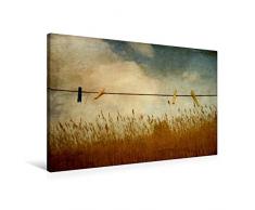 Calvendo Premium Textil-Leinwand 90 cm x 60 cm quer, Stillleben WÃ¤scheleine im Schilffeld | Wandbild, Bild auf Keilrahmen, Fertigbild auf echter Leinwand, Leinwanddruck: Retro Charme Natur Natur