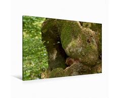 Premium Textil-Leinwand 120 x 80 cm Quer-Format Kuschel-Tier | Wandbild, HD-Bild auf Keilrahmen, Fertigbild auf hochwertigem Vlies, Leinwanddruck von Angelika Keller