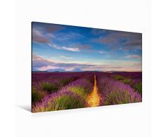 Calvendo Premium Textil-Leinwand 120 cm x 80 cm Quer Lavendelfelder auf Dem Valensole Plateau | Wandbild, Bild auf Keilrahmen, Fertigbild auf Echter Leinwand. Plateau, Provence, Frankreich Orte Orte