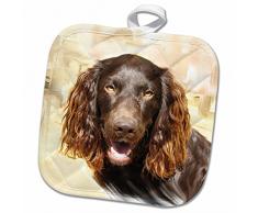 3dRose Boykin Spaniel Topflappen, 8 x 8