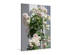Premium Textil-Leinwand 80 cm x 120 cm hoch Kletterrose Sabrina