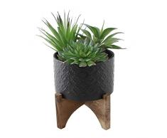 G & G Flora Bunda Mitte Jahrhundert, künstliche Pflanzen, Kaktus, Sukkulenten-Mix in 12,7 cm Streifen, Keramik mit Holzständer Succulent Mix, Black Indian 5