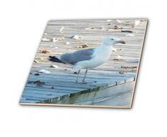 3dRose ct_165209_1 Keramikfliese, variiert