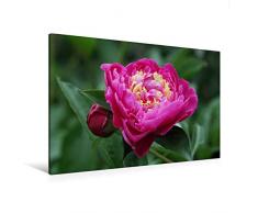 Premium Textil-Leinwand 120 cm x 80 cm quer Pfingstrose