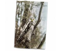 3dRose Birds of Europe Owl 1910 Ornithology Nature Study Magic Lantern Slide Handtücher, weiß, 15 x 22