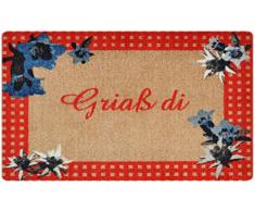 deco-mat Designer Fussmatte für Haustür, Flur, Innen und Aussen | Fussmatten rutschfest und waschbar | Praktische Schmutzfangmatte – Fußabtreter | Fussabstreifer – BEIGE ROT 75 x 120 cm