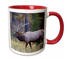 3dRose Bull Elk Grasende in Meadow, Canyon of Yellowstone National Park-Two Ton rot Kaffeebecher, Keramik, rot/gelb, 10,2 x 7,62 x 9,52 cm