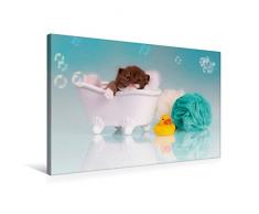 Premium Textil-Leinwand 75 x 50 cm Quer-Format Relax - Kitten in der Badewanne | Wandbild, HD-Bild auf Keilrahmen, Fertigbild auf hochwertigem Vlies, Leinwanddruck von Wabi Sabi Fotografie by Janina Bürger