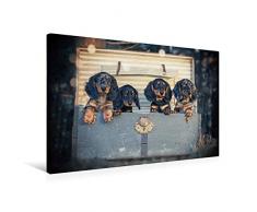 Premium Textil-Leinwand 75 x 50 cm Quer-Format Welpen von der Laaberbergmeute, Langhaar, Standard, schwarz-rot/-tiger | Wandbild, HD-Bild auf Keilrahmen, Fertigbild auf hochwertigem Vlies, Leinwanddruck von Anja Foto Grafia Fotografie