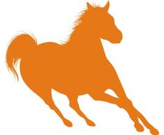 INDIGOS 4051095056195 Wandtattoo w617 Pferd 96 x 53 cm Wandaufkleber in 3 Größen, orange