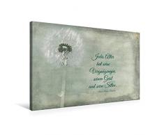 Calvendo Premium Textil-Leinwand 75 cm x 50 cm quer, Jedes Alter hat Seine Reize | Wandbild, Bild auf Keilrahmen, Fertigbild auf echter Leinwand, Leinwanddruck: Fotografie und Zitat Wissen Wissen