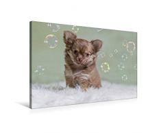 Premium Textil-Leinwand 90 x 60 cm Quer-Format Angel entdeckt die Seifenblasen | Wandbild, HD-Bild auf Keilrahmen, Fertigbild auf hochwertigem Vlies, Leinwanddruck von N N