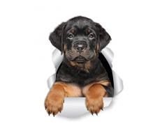 Winston & Bear Rottweiler Welpen-Wandaufkleber – 2 Stück – Rottie Hund WC Aufkleber – 3D Hund Auto Fenster und Stoßstange – Einzelhandelsverpackte Rottweiler Liebhaber Geschenke