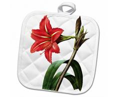 3dRose Topflappen, weiß, 20,3 x 20,3 cm