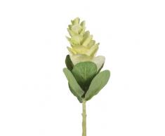 BELLAFIORA 01AMAZ057829 Kunstblumen, Brassica, 55 cm, Grün