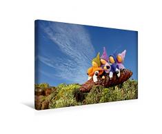Premium Textil-Leinwand 45 x 30 cm Quer-Format Vier kleine Wichtel reiten auf einem Fichtenzapfen | Wandbild, HD-Bild auf Keilrahmen, Fertigbild auf hochwertigem Vlies, Leinwanddruck von Christine Schmutzler-Schaub