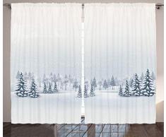 Winter Dekorationen Vorhänge von ambesonne, Weihnachten Rückseite mit Schneeflocke Zahlen und Fairy Lights Sterne Magic Design, Wohnzimmer Schlafzimmer Fenster Drapes 2 Panel Set, silber, Textil, Multi 3, 108 W By 108 L