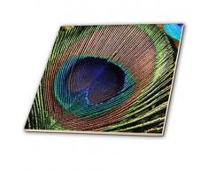 3dRose Schöner Pfau Feather- Vögel Keramik Fliesen, 20,3 cm