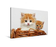 Premium Textil-Leinwand 90 x 60 cm Quer-Format Zwei junge Katzen im Korb | Wandbild, HD-Bild auf Keilrahmen, Fertigbild auf hochwertigem Vlies, Leinwanddruck von Klaus Eppele