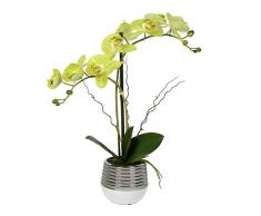 Vickerman Orchidee Everyday Floral Grün