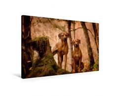 Premium Textil-Leinwand 90 x 60 cm Quer-Format LÃ¶wentanz - Rhodesian Ridgeback | Wandbild, HD-Bild auf Keilrahmen, Fertigbild auf hochwertigem Vlies, Leinwanddruck von Sabrina Mischnik