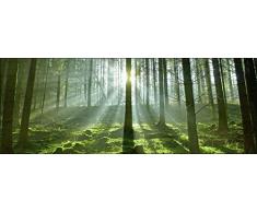 Pro-Art AN410L5 Wandbild Keilrahmen Twilight, bunt