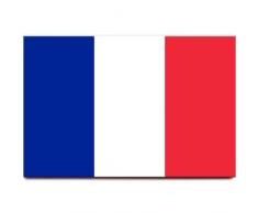 Frankreich Flagge Kühlschrank Magnet Paris Marseille Travel Souvenir