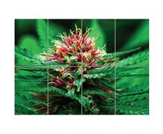 Doppelganger33 LTD Marijuana Flower Wand Kunst Multi Panel Poster drucken 47x33 Zoll