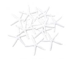 Honbay 12 Stück Harz Weiß Bleistift Finger Seestern Seestern für Zuhause Hochzeit Party Dekoration oder Basteln DIY
