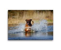 Premium Textil-Leinwand 75 x 50 cm Quer-Format Boxer rennt durch Wasser | Wandbild, HD-Bild auf Keilrahmen, Fertigbild auf hochwertigem Vlies, Leinwanddruck von Yvonne Janetzek