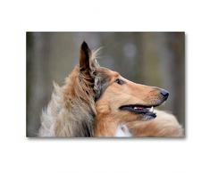 Premium Textil-Leinwand 90 x 60 cm Quer-Format Highland Hawk Fame immer aufmerksam | Wandbild, HD-Bild auf Keilrahmen, Fertigbild auf hochwertigem Vlies, Leinwanddruck von Andreas und Marina Zimmermann Fotografie GbR