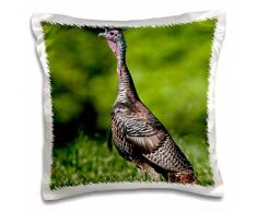 3dRose PC 205627 _ 1 USA Florida Palm Beach Worth Avenue Große Nussknacker Statue Kissen Fall, 40,6 x 40,6 cm