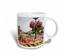 3dRose Blumenampel Blumenkasten, Victoria, bc-cn02 sws0024-stuart Westmorland Tasse, Keramik, Mehrfarbig, 11,43 x 8,45 x 12,7 cm
