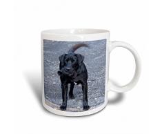 3dRose Labor-Socken, die in den Mund Kaffeebecher, Keramik, Schwarz, 8.45, 11,43 x 12,7 cm