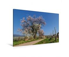 Calvendo Premium Textil-Leinwand 120 cm x 80 cm quer, Weinbergweg, Godramstein | Wandbild, Bild auf Keilrahmen, Fertigbild auf echter Leinwand, Leinwanddruck Natur Natur