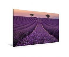 Premium Textil-Leinwand 90 cm x 60 cm quer Ein Motiv aus dem Kalender Provence, der sinnliche SÃ¼den Frankreichs