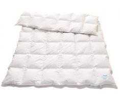 Wolkenkind Original Premium Daunen-Ganzjahresdecke GRÖNLAND 155 x 220 cm, Bettdecke, Federbett