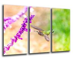 Wandbild - Natur, Kolibri, Makroblume, 97 x 62 cm, Holzdruck - XXL Format - Kunstdruck, ref.26226